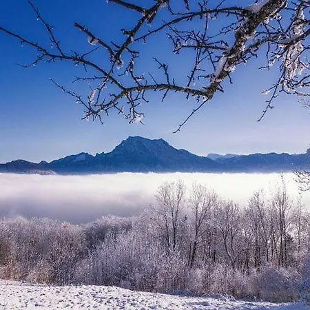 See Und Traunsteinblick Apartman *