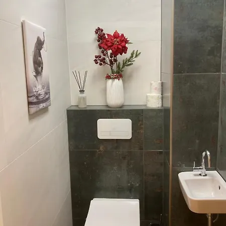 Apartment See Und Traunsteinblick